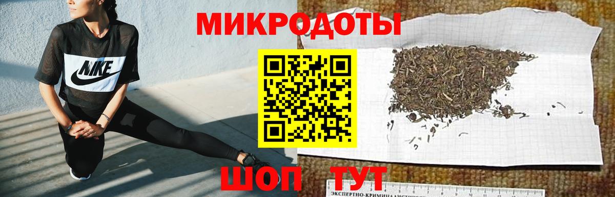 Заволжье  Галлюциногенные грибы ЛСД  Вход с VPN 
